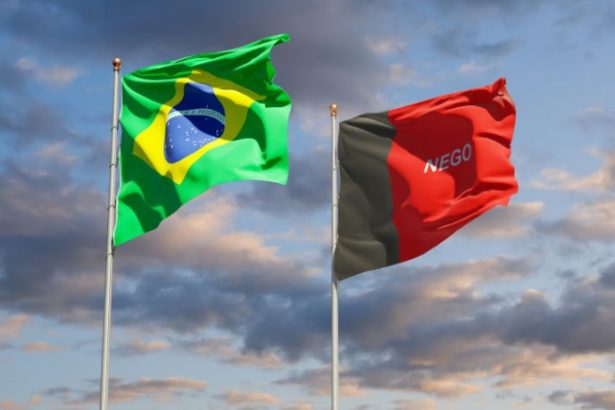 Reconhecimento Global de Cientista da UEPB Impulsiona a Ciência Brasileira